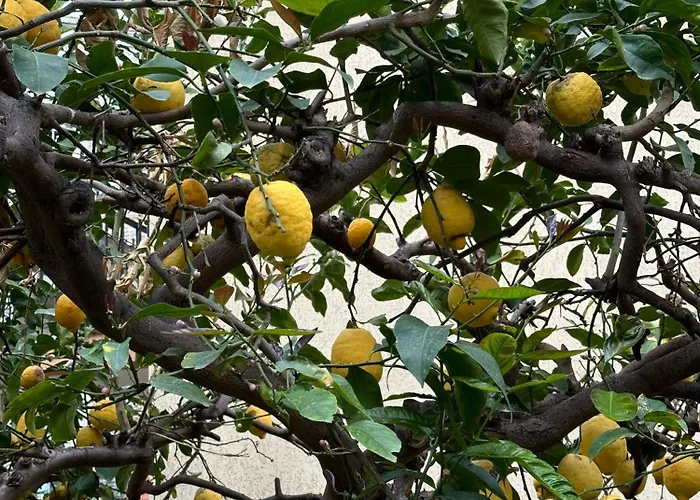 Gæstehus Casa Patrizia